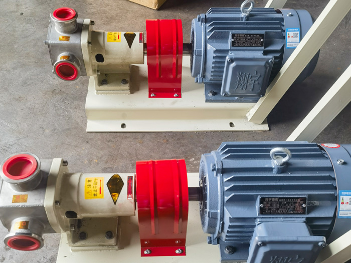 不鏽（xiù）鋼轉子泵