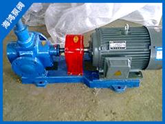 圓弧（hú）泵（bèng）-不鏽鋼圓弧泵