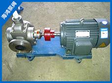 YCB不鏽鋼圓弧泵（bèng）-YCB不鏽鋼圓弧齒輪泵