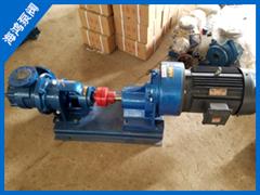 NYP高粘度轉子泵-高粘度轉子泵