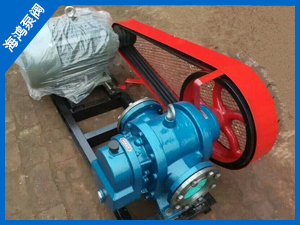 高粘度泵-LCX高粘度羅茨（cí）泵