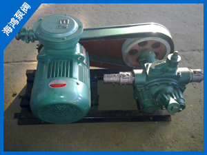 球形轉子泵-球型泵