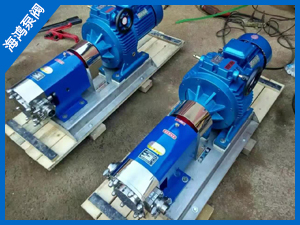 轉子泵-凸輪（lún）式（shì）轉子泵