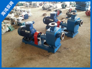 船用自（zì）吸式離心油泵-離心油泵