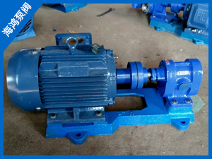 船（chuán）用齒輪泵-2CY係列船用齒輪泵