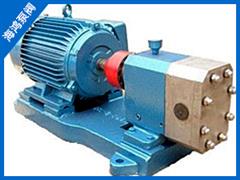 外潤滑（huá）齒（chǐ）輪泵-不鏽鋼齒（chǐ）輪泵