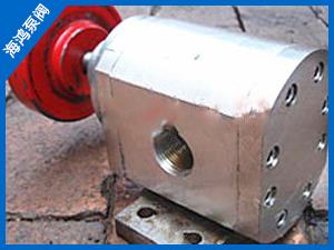 不鏽鋼齒輪泵（bèng）