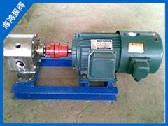 BW型保（bǎo）溫泵-BW係列保溫泵