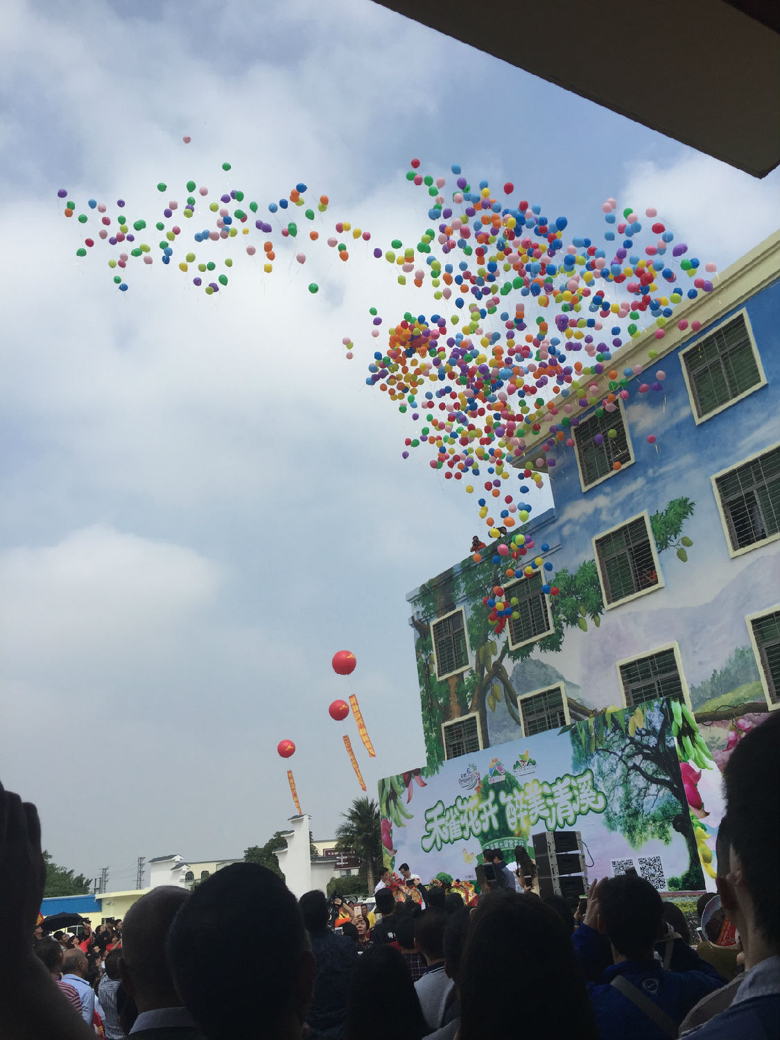 清溪禾(hé)雀(què)花 清溪禾雀花