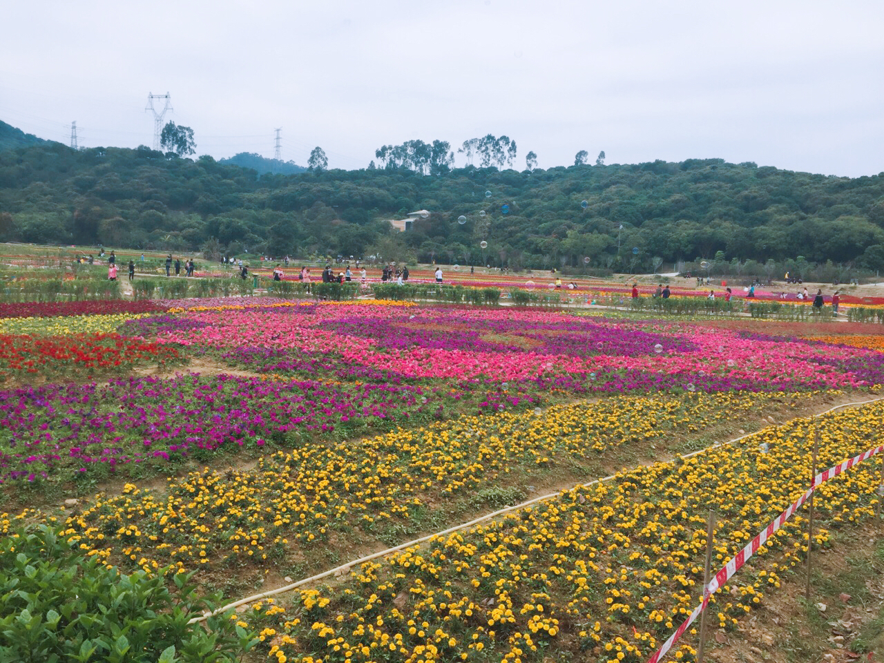 清(qīng)溪大王山 清溪大王山