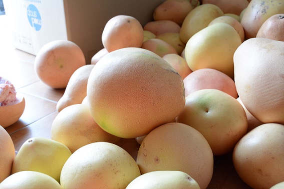 凱力克（kè）柚子