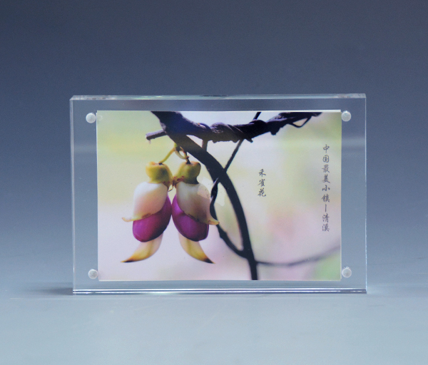 星空无限传媒官网夾畫