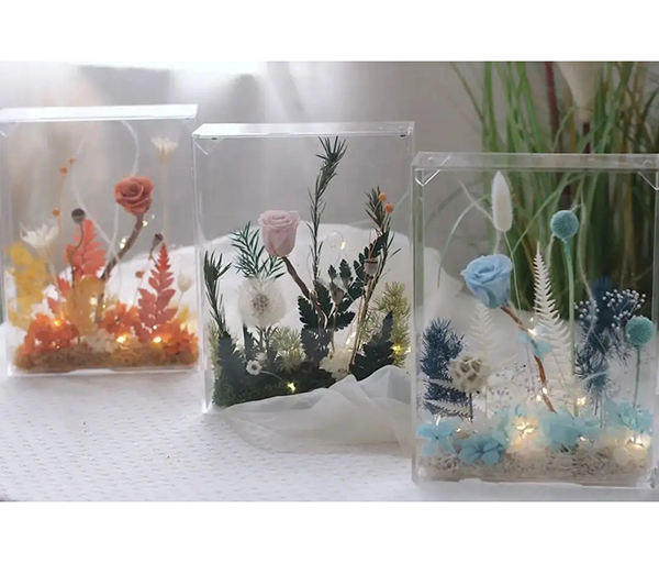 星空无限传媒官网畫框 星空无限传媒官网畫框