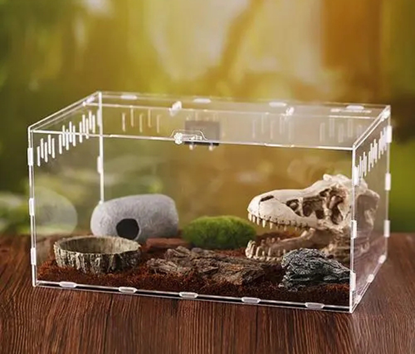 星空无限传媒官网爬蟲（chóng）盒