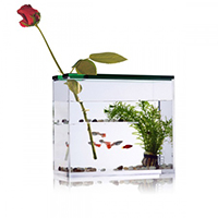 51e65e655dfd9-450.jpg 51e65e655dfd9-450.jpg