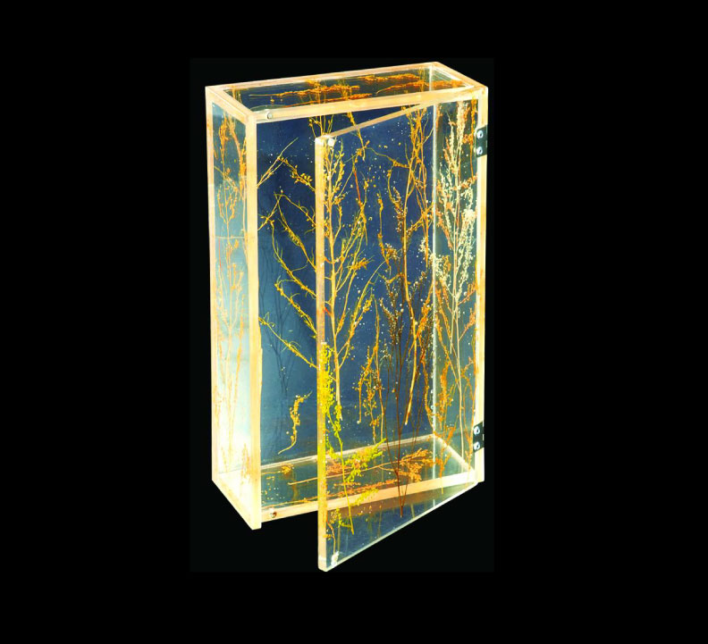 星空无限传媒官网盒