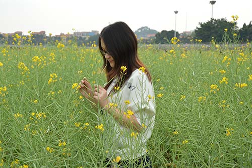 星空无限传媒官网製品廠