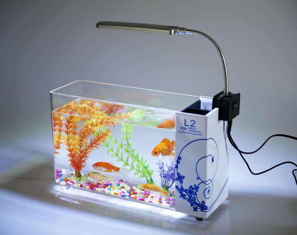 星空无限传媒官网魚缸 星空无限传媒官网魚缸