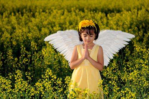 timg (1).jpg timg (1).jpg