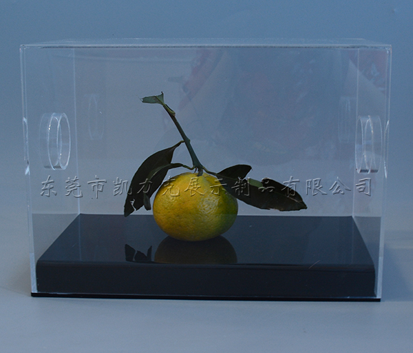 星空无限传媒官网展示盒